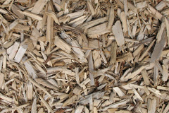 biomass boilers Criech